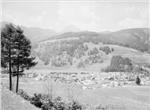 Symbolbild: Matrei am Brenner, Blick gegen Serles – Foto: Sammlung Risch-Lau, Vorarlberger Landesbibliothek