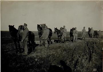Tragtierkolonne, 1915