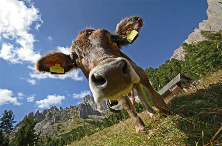 Quelle: Visittrentino