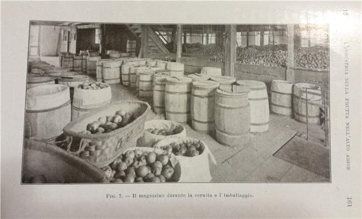 I magazzini della frutta 
